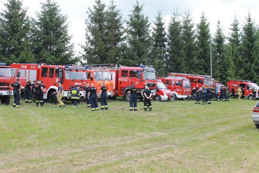 Strażacy z gminy Dębowiec ćwiczyli walkę z ogniem w lesie [ZDJĘCIA]