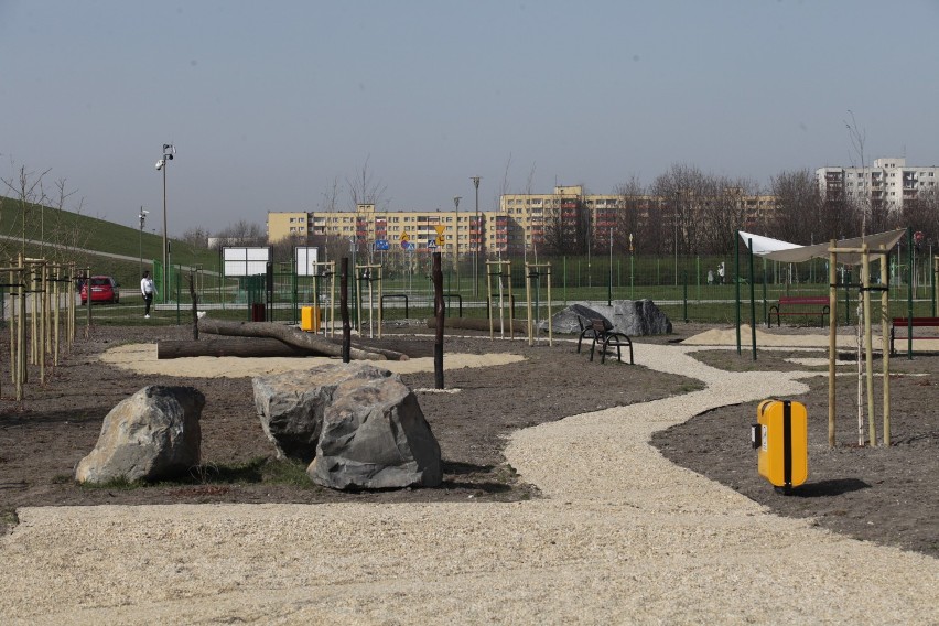 Park dla psów ma służyć głównie czworonogom