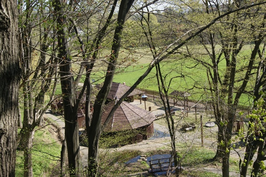 Park edukacyjny w skansenie w Szymbarku, jakiego jeszcze nigdzie nie widzieliście! Jest labirynt, ogromna maselniczka i wiele innych