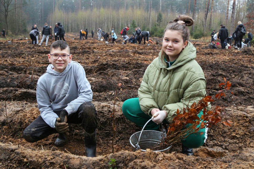 "Las Pełen Energii". 100 osób zasadziło drzewa w okolicy Kopalni i Elektrowni Turów