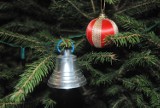 Choinka - jak legalnie pozbyć się bożonarodzeniowego drzewka?