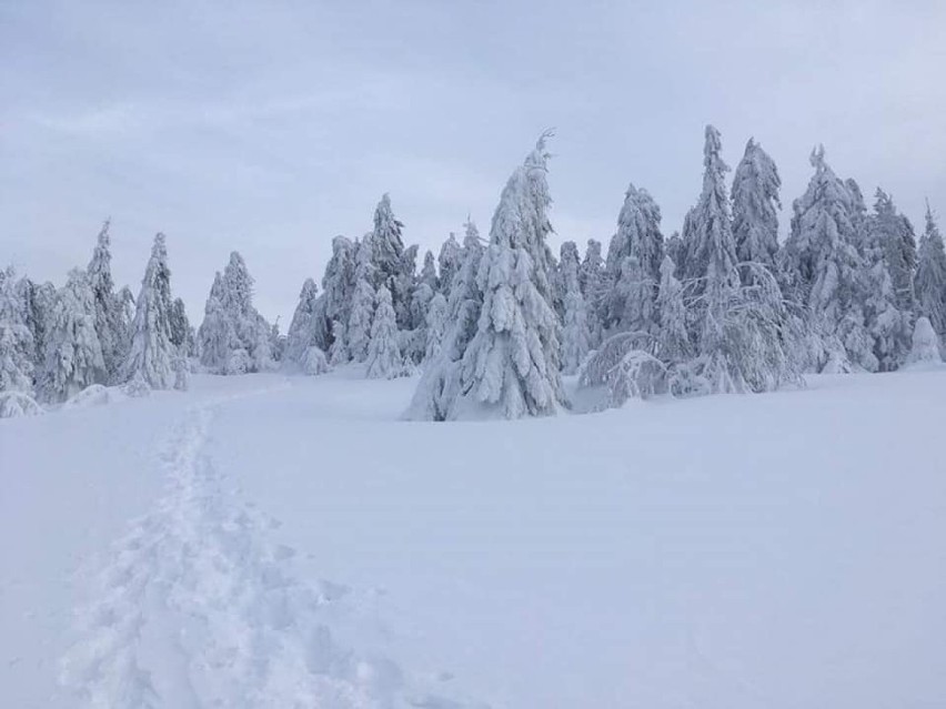 Gorce. Duże zaspy śnieżne, bez rakiet śnieżnych nie da się iść [ZDJĘCIA]