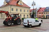 Kwiaty udekorowały plac Tadeusza Kościuszki w Łęczycy ZDJĘCIA