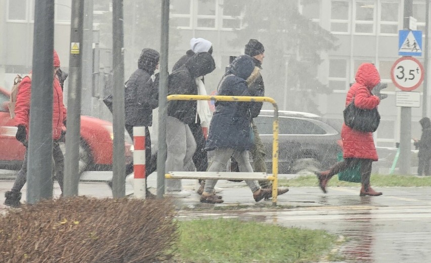 Śnieżyca z wichurą w Kielcach. Silny wiatr i obfite opady