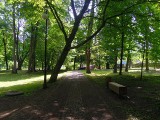 Park w Zwierzyńcu pięknieje. Rusza drugi etap rewitalizacji