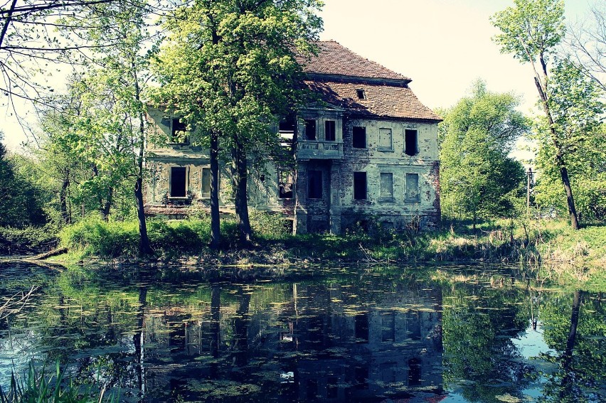 W Studzieńcu (gm. Kożuchów) znajduje się jeden z...