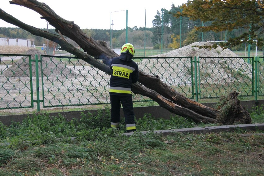 Zdunowscy strażacy znowu w akcji. Tym razem usuwali drzewo, które zawaliło się na płot stadionu! [ZDJĘCIA]    