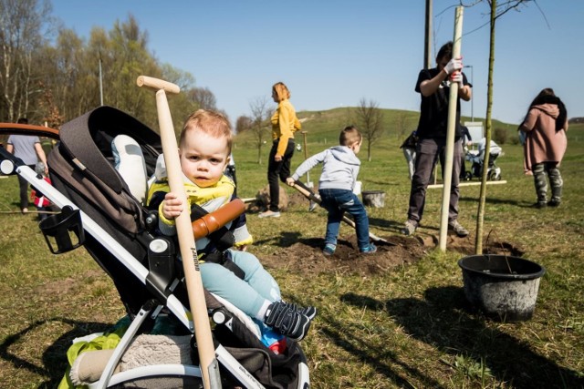 W sobotę w Myślęcinku bydgoszczanie sadzili drzewka. Na skwerze u zbiegu ulic Konnej i Hipicznej zostały zasadzone dęby, klony i jarzęby. Kilkanaście rodzin posadziło tam Drzewa Młodej Bydgoszczy.

Flash Info #8. Najważniejsze wydarzenia z regionu
