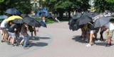 Wbiegli z parasolkami na Rynek w Dębicy