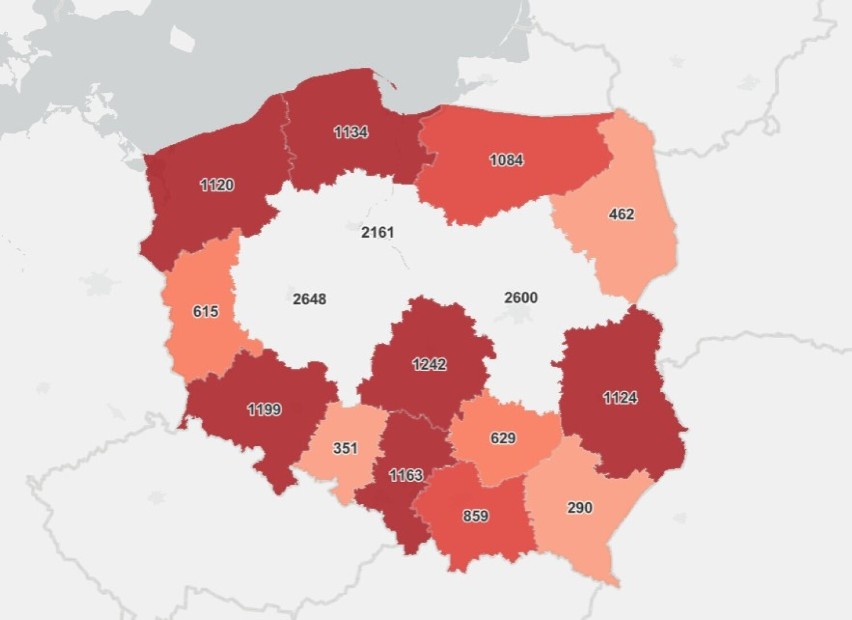 Koronawirus, raport 22 lutego 2022. W Polsce prawie 19 tys. nowych zakażeń SARS CoV-2. W zachodniej Małopolsce prawie dwieście. Są zgony