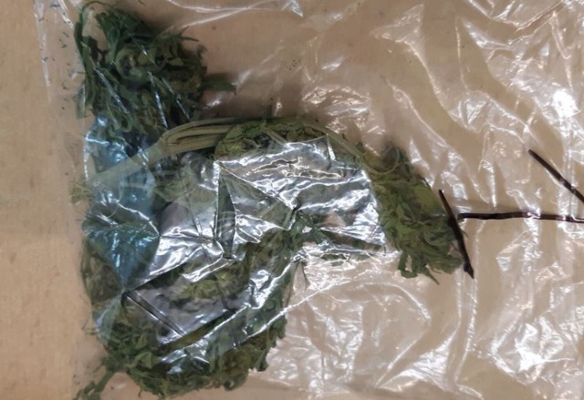 1 grudnia funkcjonariusze powiatu dzierżoniowskiego przejęli ponad 15 gramów narkotyków