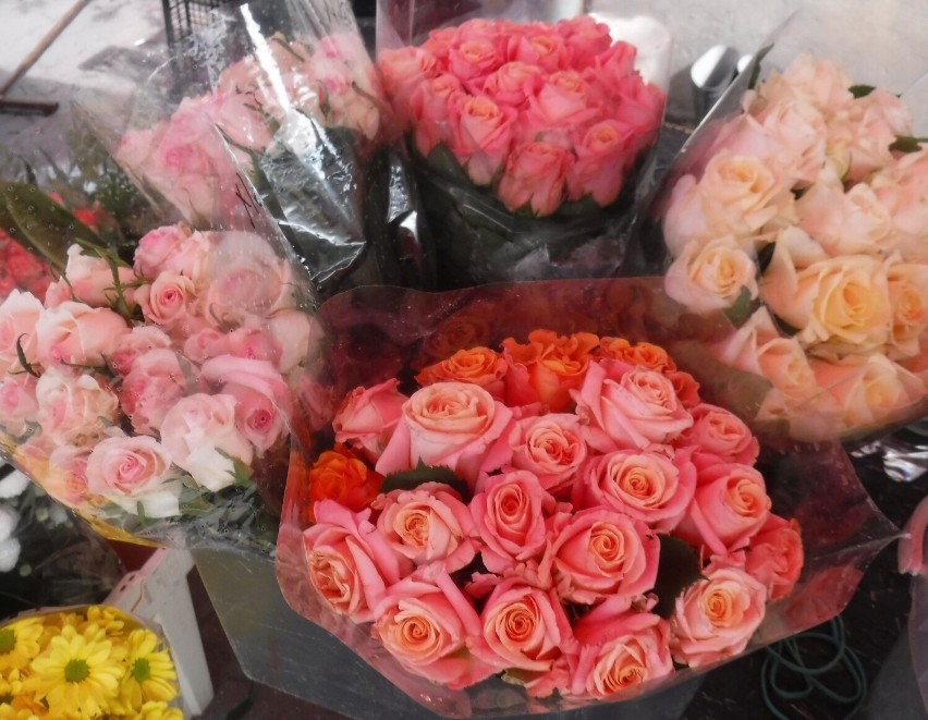 Róże w cenie 1,50 za sztukę