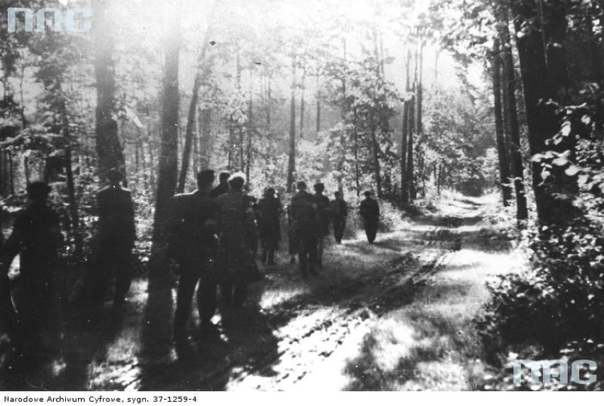 Polscy Żołnierze w Lesie Bielańskim podczas II wojny...