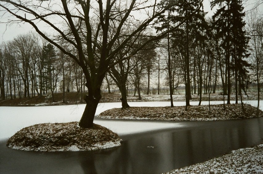 Park w Kościelcu w roku 1999.