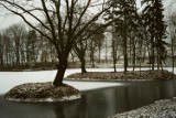 Park pałacowy w Kościelcu pod Kołem. Zdjęcia z 1999 roku.