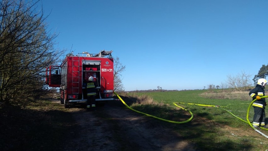 Pożar ładowarki teleskopowej w Orzeszkowie...