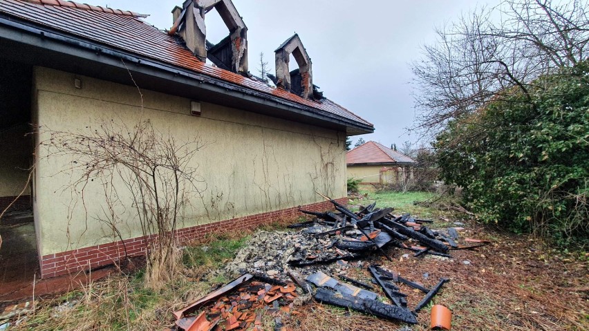 Podpalacze odpowiedzialni za pożary w gminie Moszczenica...