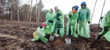 Posadzili las, bo wiedzą jakie to ważne! Uczniowie SP nr 18 w Zielonej Górze spędzili "Dzień z leśnikiem" 