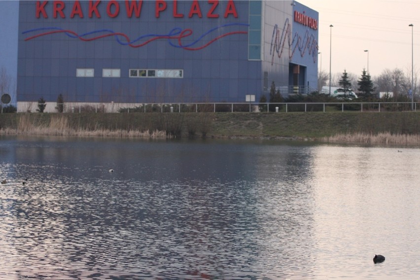 Kraków. Tajemnicza sprzedaż Galerii Plaza. To centrum handlowe od sierpnia zostaje zamknięte