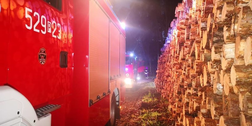 Pożar lasu w Tarnowie. Z ogniem walczy pięć zastępów straży pożarnych