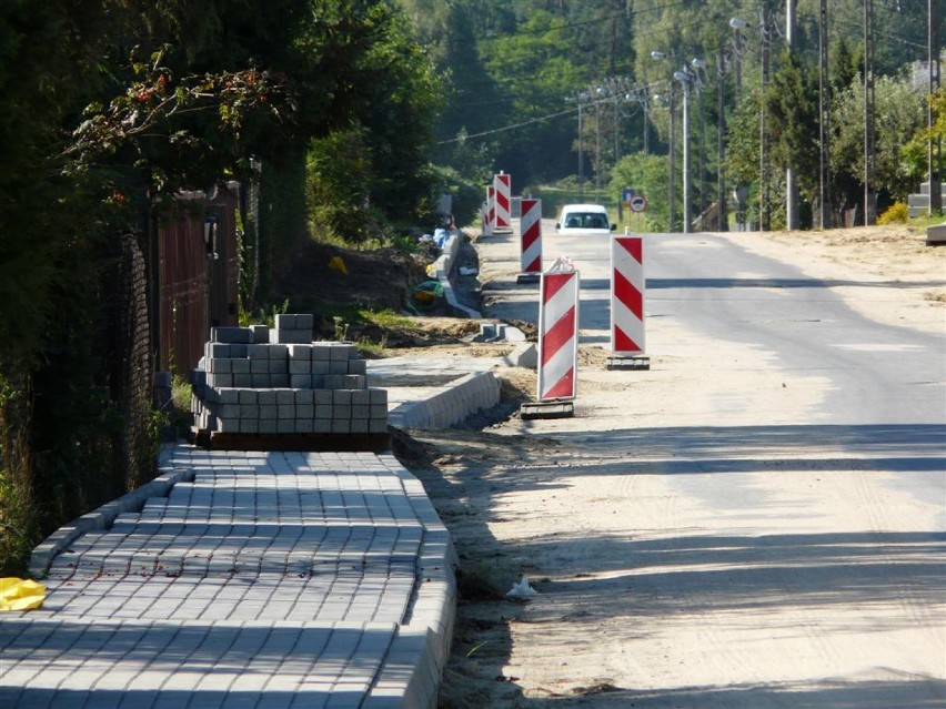 Drzew radnej nie można przesadzić?