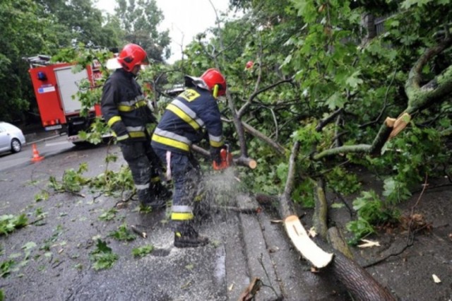 Burze i wichury nad Zamościem. Strażacy wyjeżdżali 32 razy. Pomogły okoliczne OSP