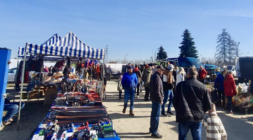 Nowy Sącz. Popularność niedzielnej giełdy przy Węgierskiej nie słabnie. Klienci kochają to miejsce. 24.03.23