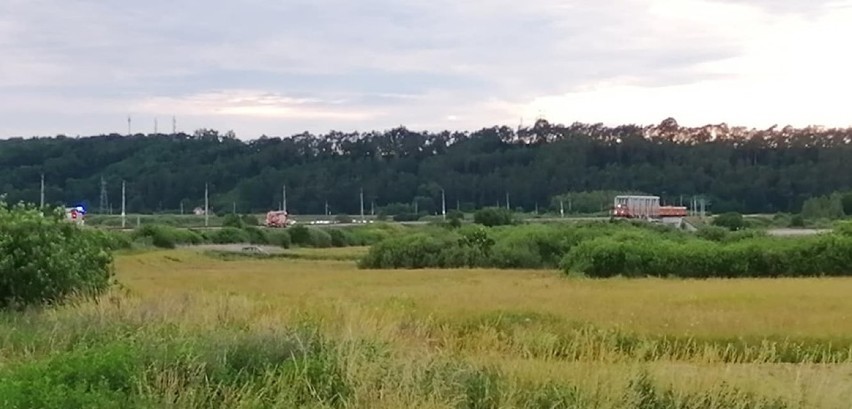 Wypadek w Milczu. Pod pociąg jadący z Piły wpadł młody mężczyzna! 