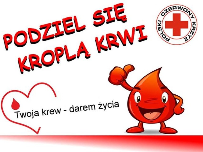 Nowy Dwór Gdański. Możesz oddać swoją krew i pomóc potrzebującym. Organizatorzy zapraszają na przedświąteczną zbiórkę