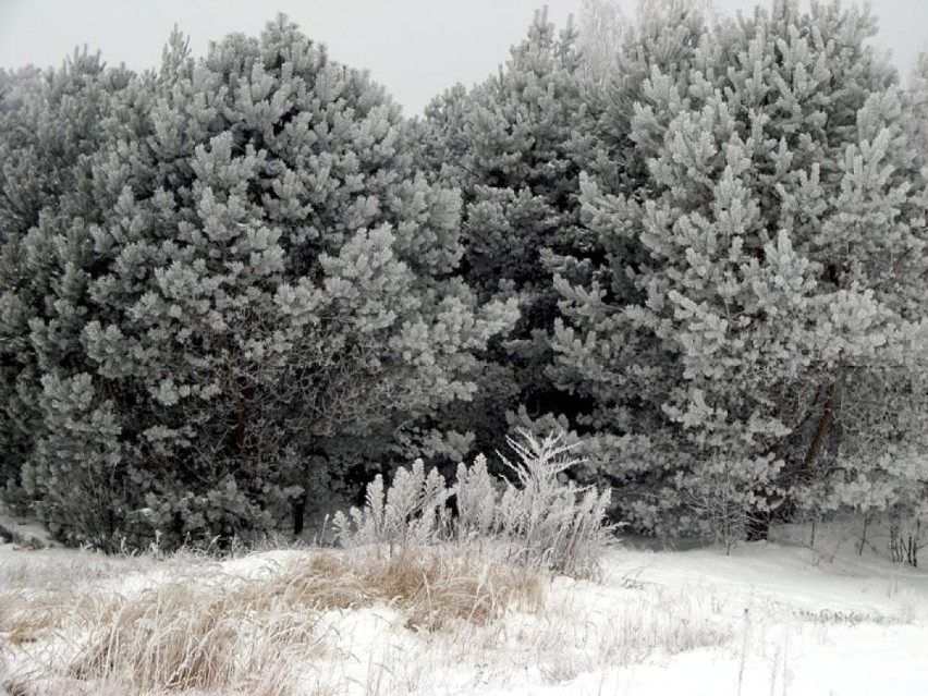 Archiwalne zdjęcia: zimowe ferie w naszym powiecie 2010 rok