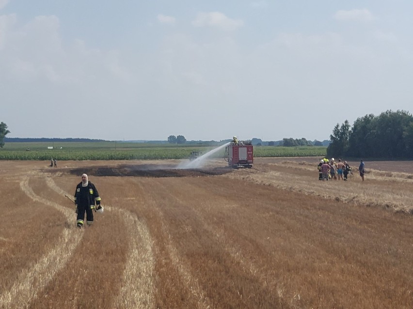 Witkowo: Upały sprzyjają pożarom, OSP Witkowo wezwane na dwie akcje  - Malenin i Kamionka [GALERIA]