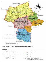 Powstanie województwa płockiego - utopia czy szansa dla regionu?