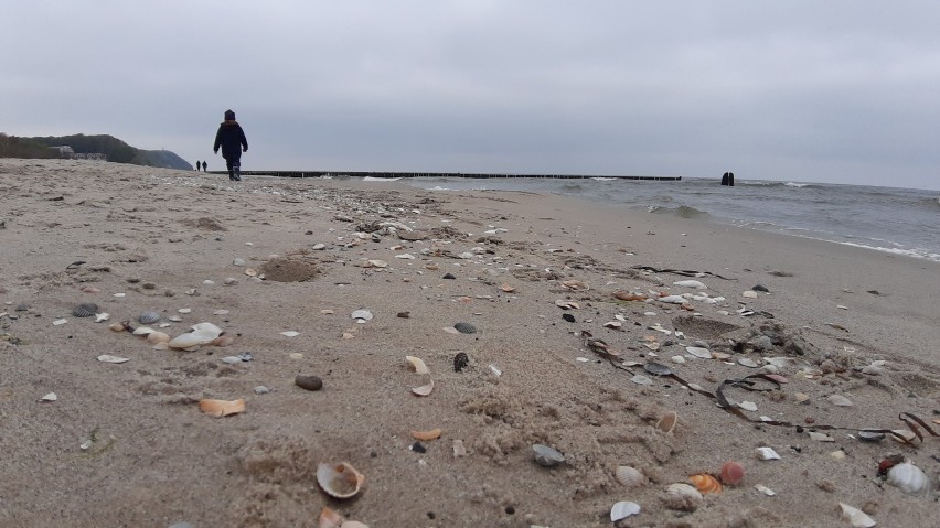 Bałtyk w maju, choć jeszcze lodowaty, zachwyca. Zobaczcie, jak pięknie jest na plaży [ZDJĘCIA]