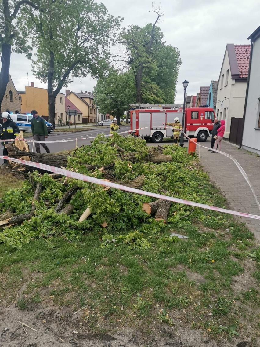 Powiat chodzieski: 15 interwencji straży pożarnej z powodu silnego wiatru