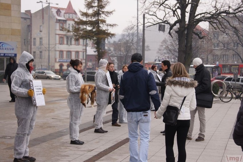 Protestowali przeciw futrom pod Galerią Bałtycką