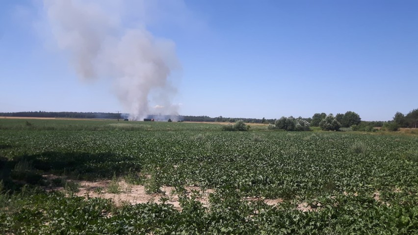 Pożar zboża na pniu w Stradomi Wierzchniej             