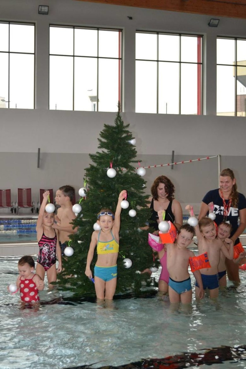 Ruda Śląska: Przed nami kolejne urodziny Aquadromu. Organizatorzy przygotowali moc atrakcji [ZDJĘCIA]