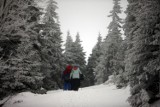 Karkonosze. Silny wiatr i odwilż utrudniają wędrówki