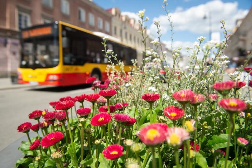 Zmiany w komunikacji miejskiej na wakacje. Zawieszenie wielu linii autobusowych, rzadsze kursowanie tramwajów i metra