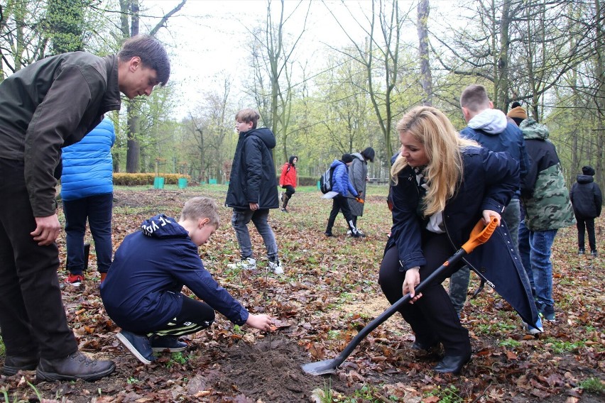 Dzień Ziemi w Oleśnicy. Uczniowie trójki sadzili nowe drzewa w parku 