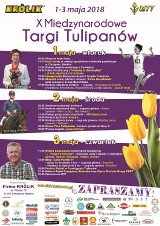 Czas na zaplanowanie "Majówki u Królika". Jakie atrakcje w tym roku podczas MTT? [PROGRAM]