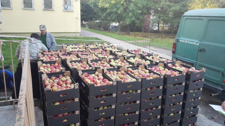 Kraśnik:  Do rozdania jest 14 ton jabłek