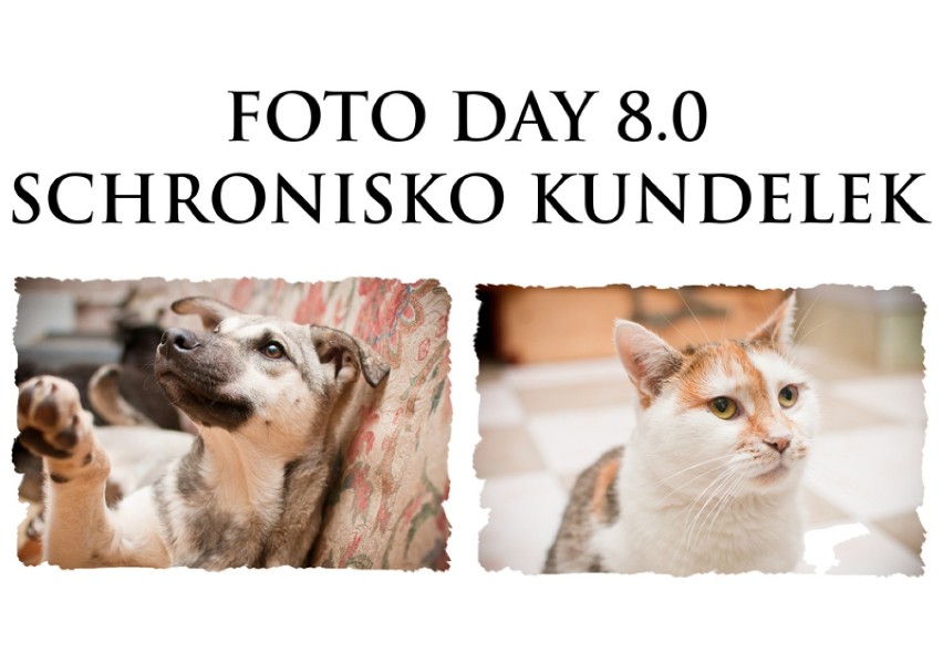 Foto Day 8.0: charytatywnie dla Kundelka