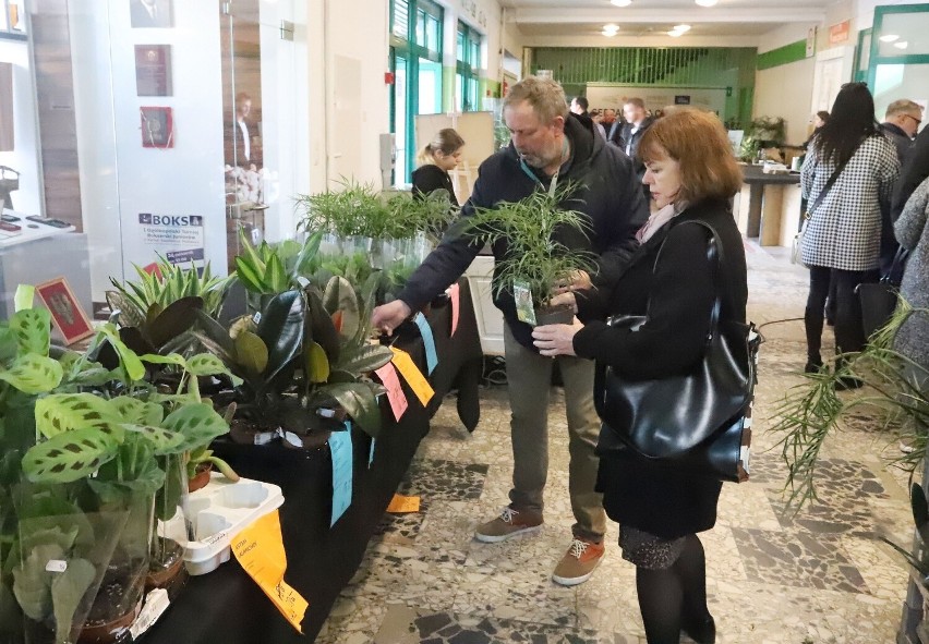 Monstery, fikusy, kaktusy i wielu klientów na targach roślin...