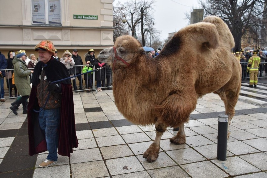 12 Lubuski Orszak Trzech Króli w Zielonej Górze - 6 stycznia...