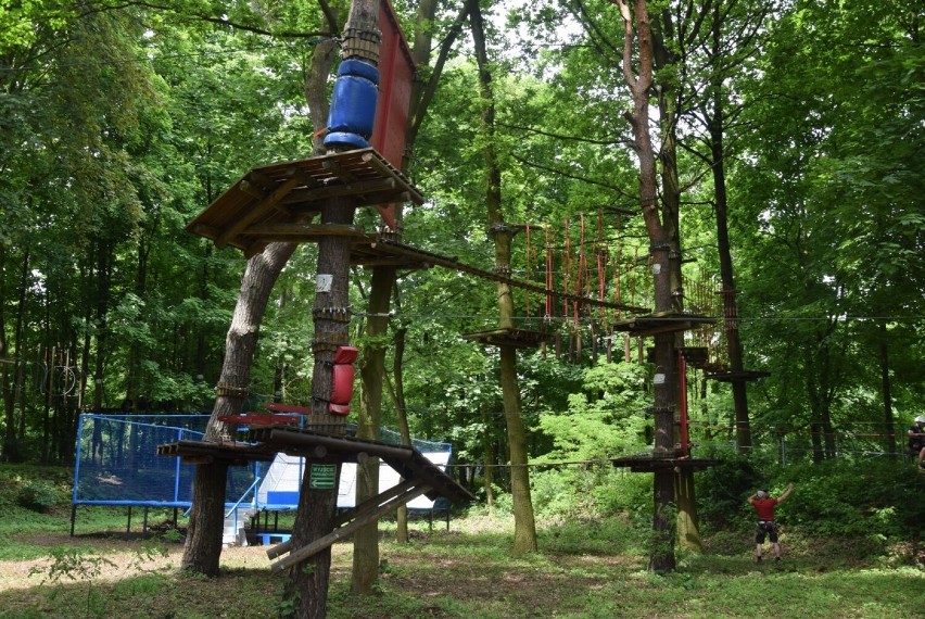 Park linowy w Kaliszu. Aktywna rozrywka dla całej rodziny