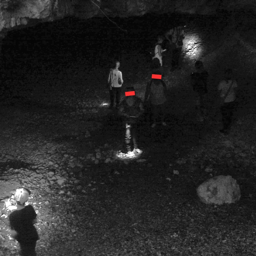 Zaskakujące odkrycie w jaskini na Jurze! Ukryta kamera uchwyciła skandaliczne sytuacje. Turyści powinni się wstydzić... 