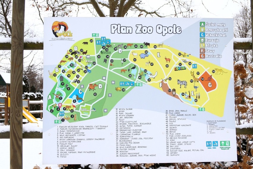 Przypominamy, że opolskie zoo w sezonie zimowym jest otwarte...