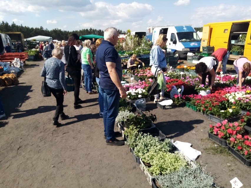 Tak było na targowisku przy ulicy Sokołowskiej w...