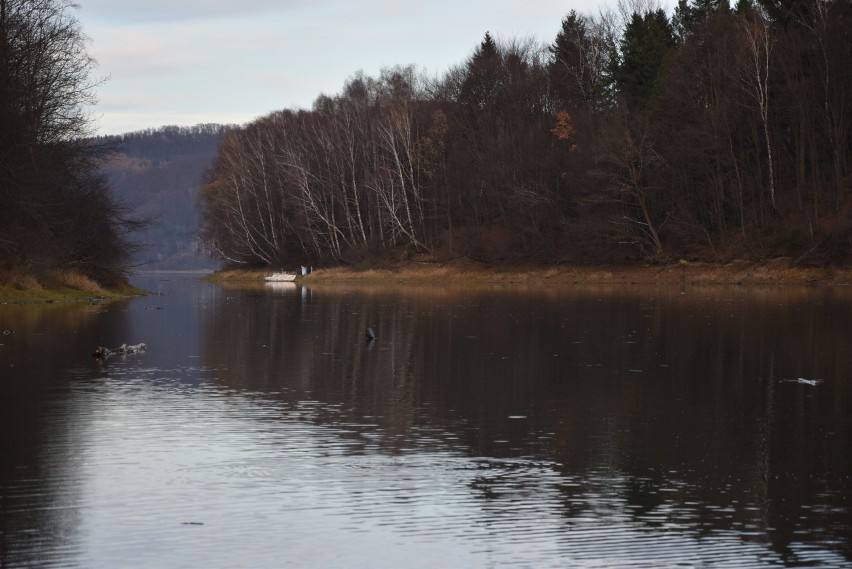 Jezioro solińskie w pięknej, jesiennej odsłonie. Pogoda sprzyjała turystom i wędkarzom  [ZDJĘCIA]